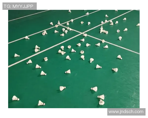 羽毛球速度排行榜揭晓上海羽毛球队荣获第九名成就斐然