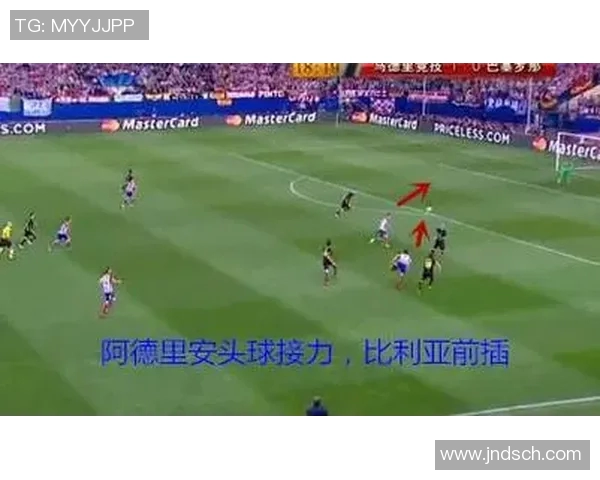 深圳排球队防反战术深度解析与实战应用探讨